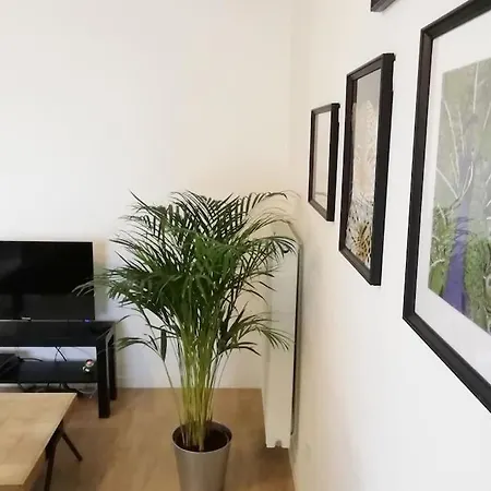 Apartment Proche Chu Avec Balcon Et Parking *